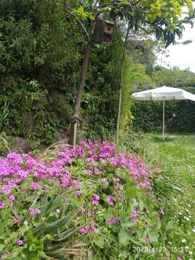 Apartamentos & Casa Rural Boada Con Jardin Interior Y Barbacoa Villamiel Bagian luar foto